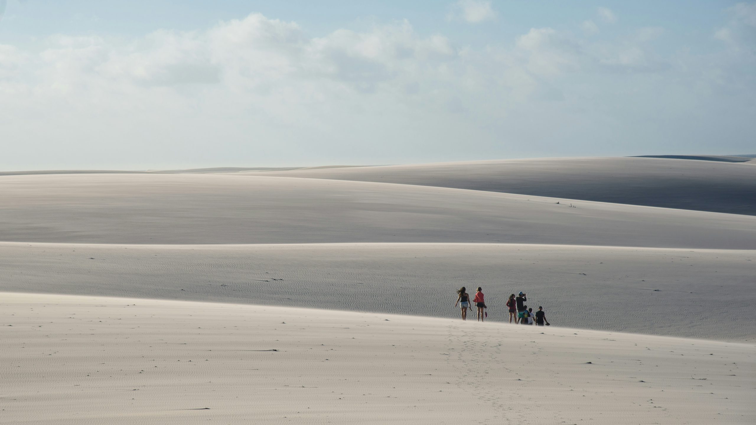 felipe labate t7PSOHUpZPA unsplash