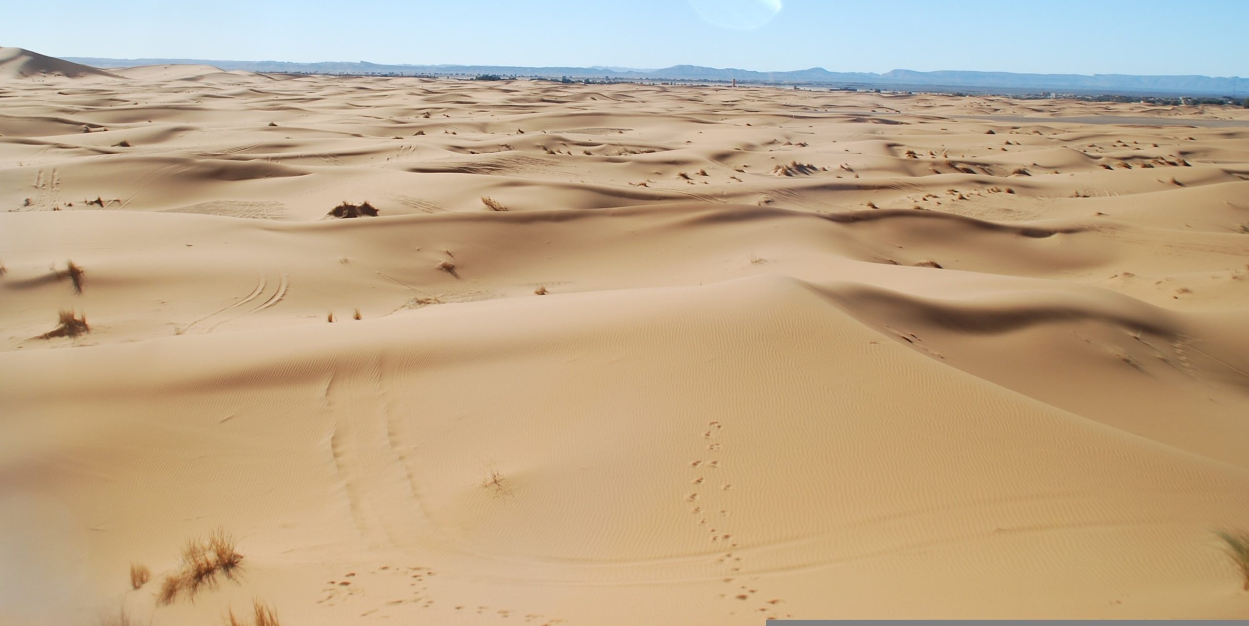 jalvarezamaro desert 3380718